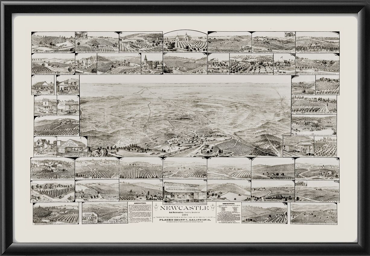 Newcastel CA 1893 TM