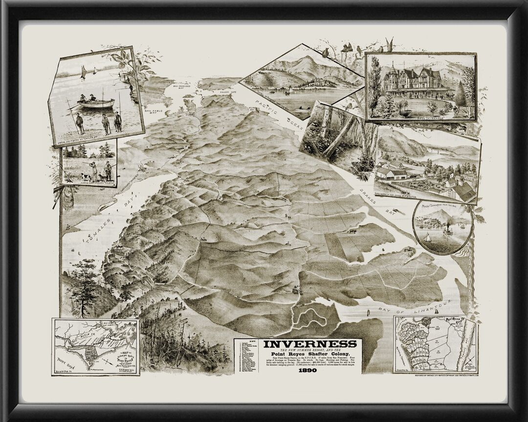 Inverness CA 1890 Birds Eye View Map