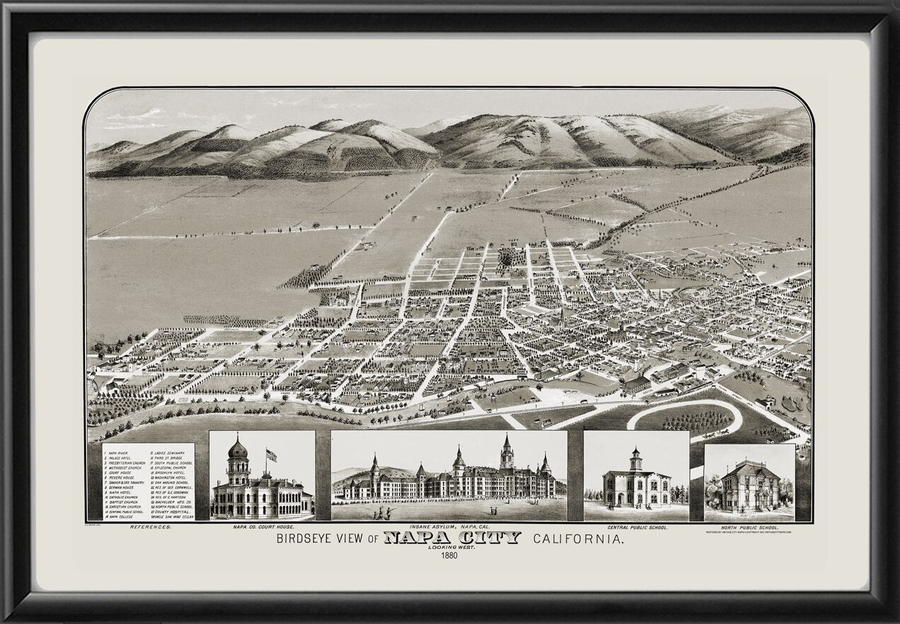Napa CA 1880 Birds Eye View Map