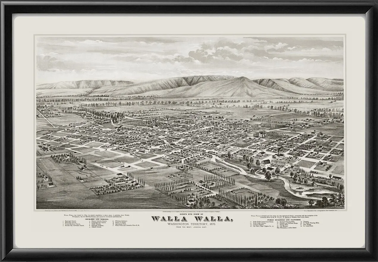 Walla Walla WA 1876 ES Glover TM Birds Eye View Map