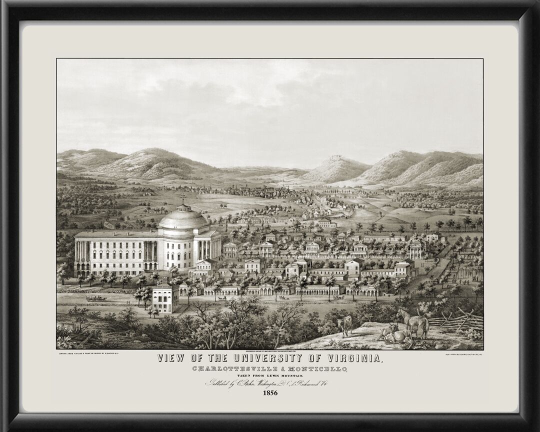 Univ of Virginia 1856 Sachese TM Birds Eye View Map