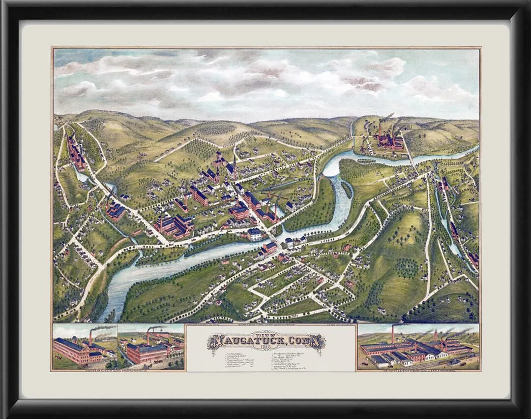Naugatuck CT 1877 TM Birds Eye View Map