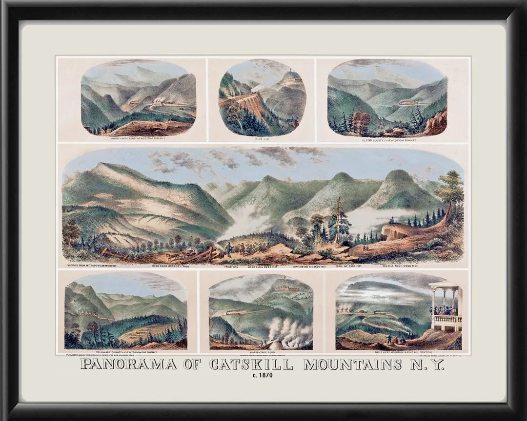 Catskill Mountains NY c1870 H. Schile TM Bird's Eye View Map