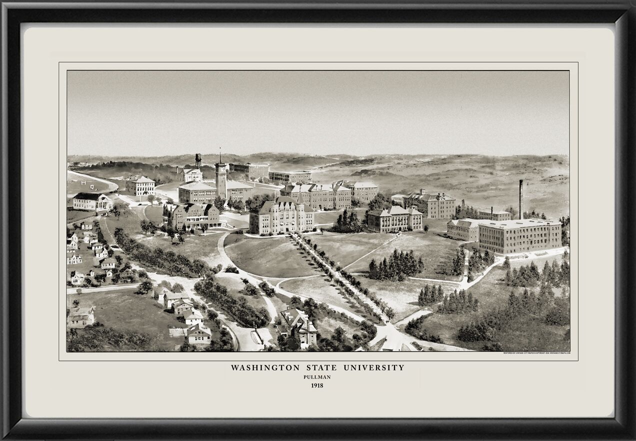 Washington State University 1918