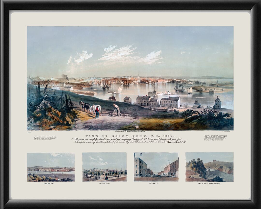 Saint John. N.B. 1851 John W. Hill TM Bird's Eye View Map