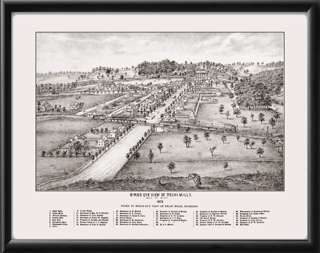 Delhi Mills MI 1874