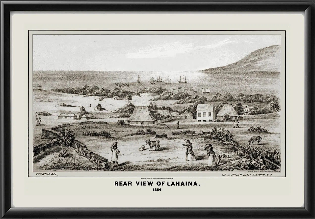 Lahaina Maui Hawaii 1854 Edward T. Perkins TM Bird's Eye View Map