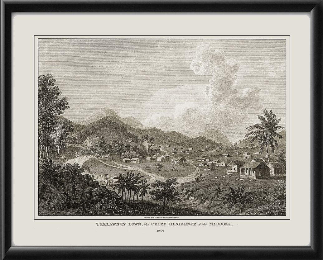 Trelawney Town Jamaica 1801