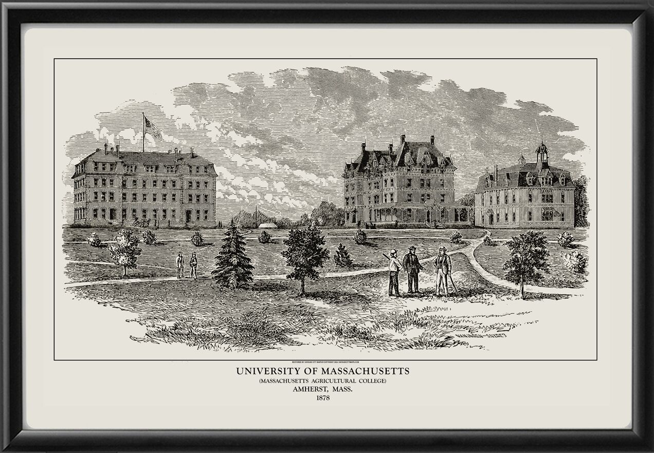 University of Massachusetts - Massachusetts Agricultural College 1878 Birds Eye View Map
