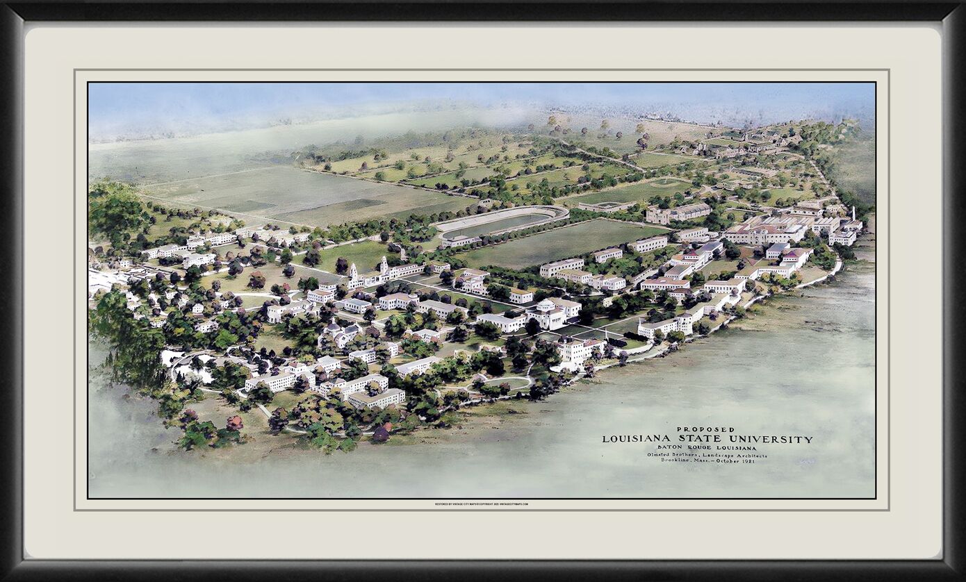 LSU Proposed Plan 1921 Olmstead Bros. Architects