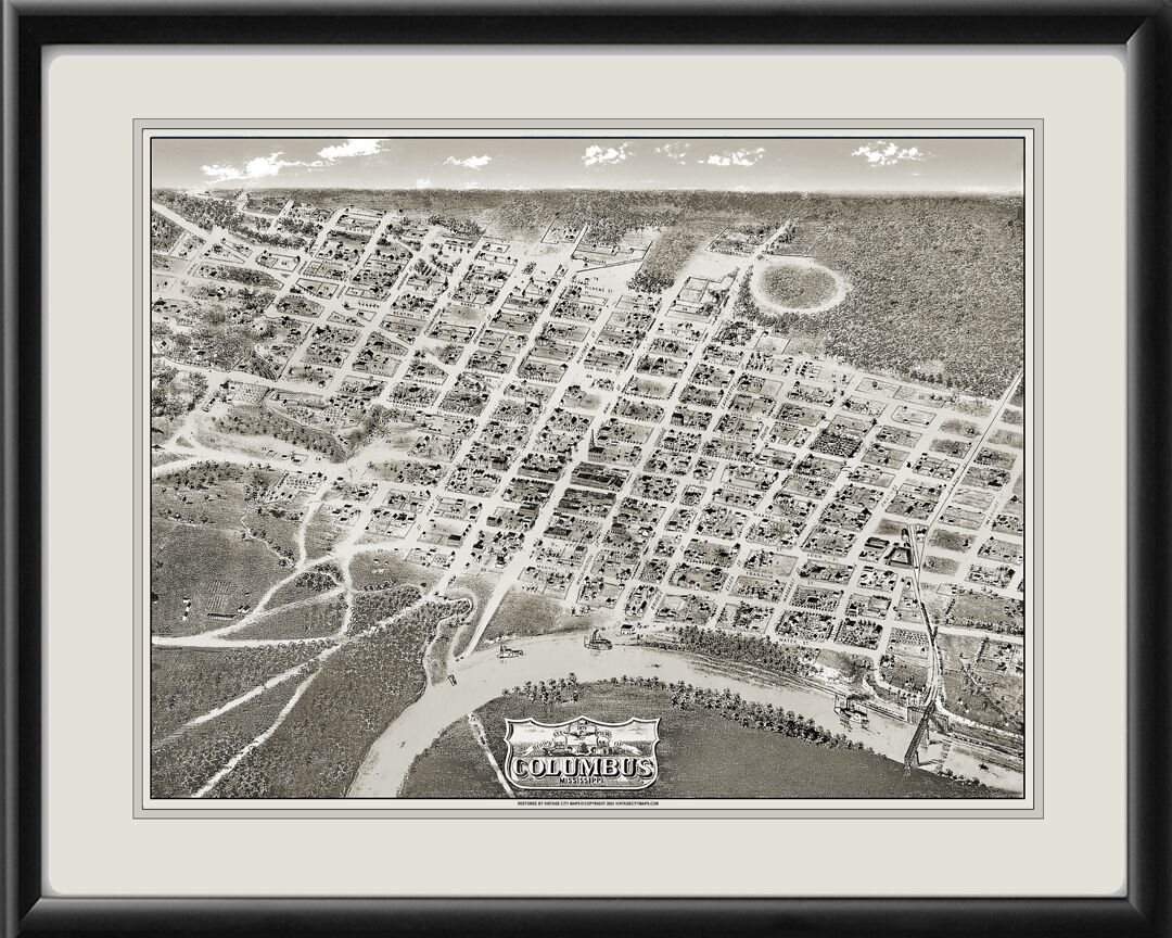 Columbus MS 1875 Birds Eye View Map
