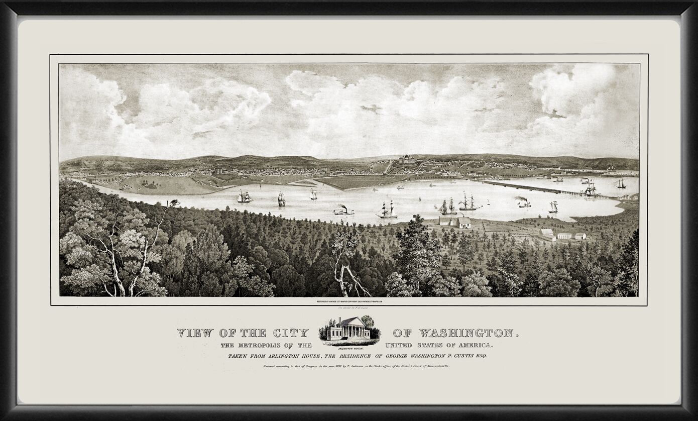 Washington DC 1838 Fitz Henry Lane TM Birds Eye View Map