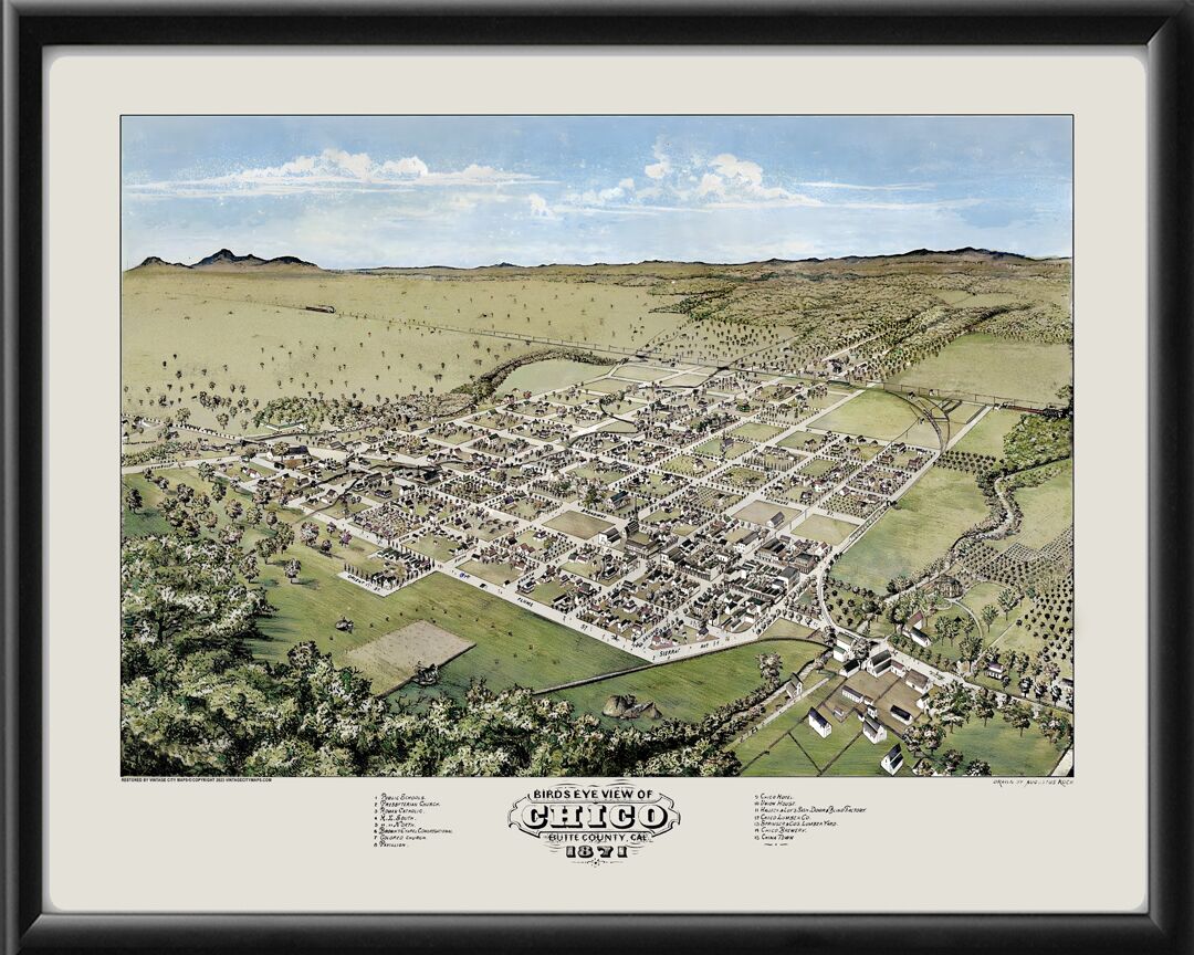 Chico CA 1871 Koch TM Birds Eye View Map
