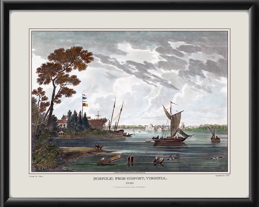 Norfolk from Gosport, Virginia 1820 Birds Eye View Map