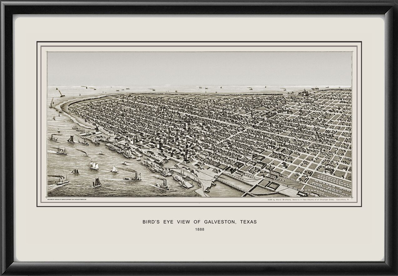 Galveston TX 1888 Ward Brothers Birds Eye View Map