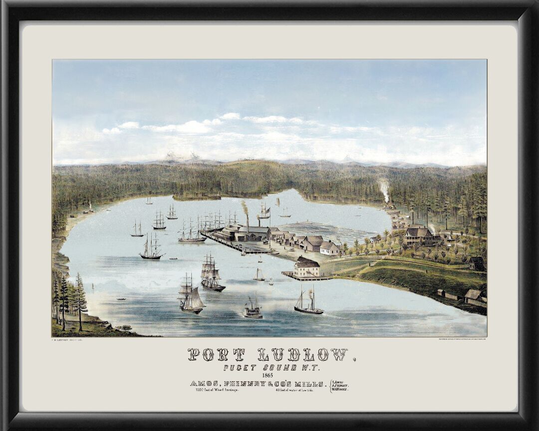 Port Ludlow WA 1865 Birds Eye View Map