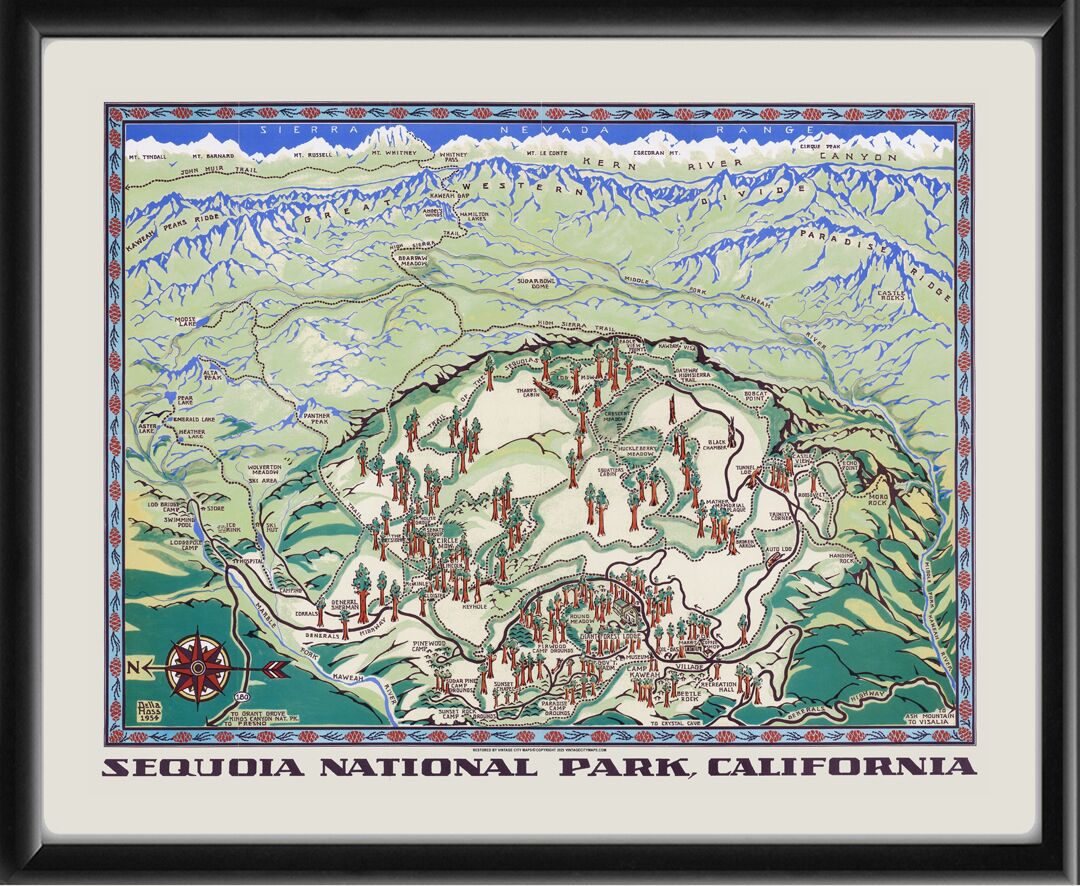Sequoia National Park, California 1954 Della Taylor Hoss