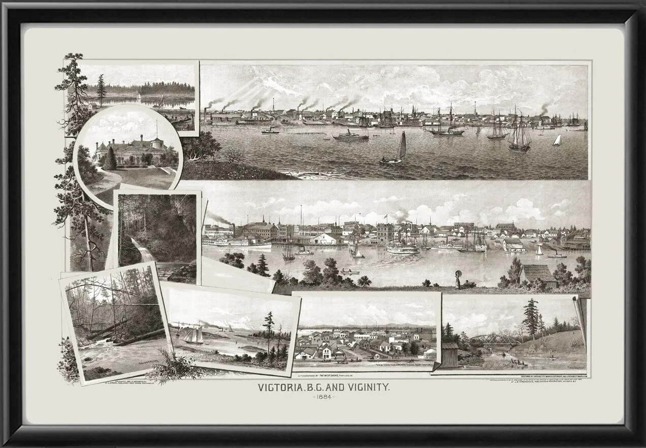 Victoria BC 1884 Leo Samuel TM Bird's Eye View Map