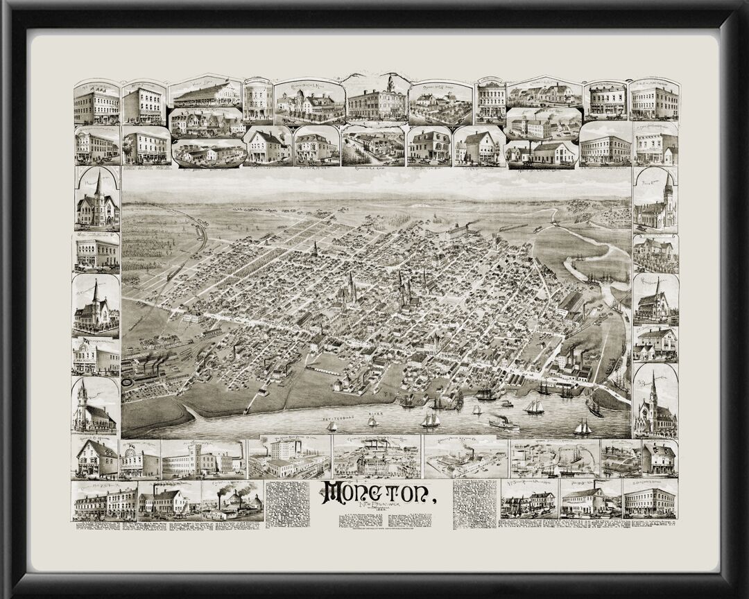 Moncton NB Canada 1888 D.D TM Bird's Eye View Map