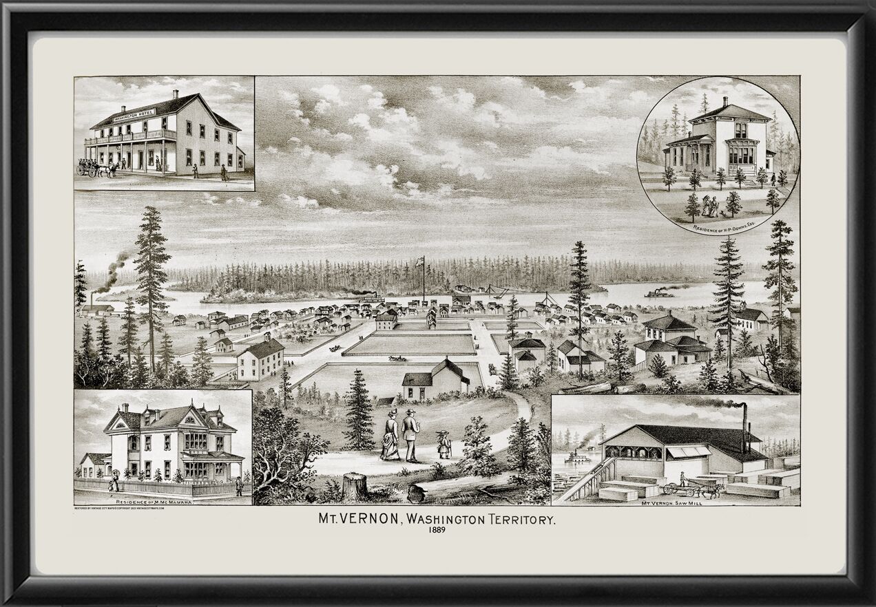Mt. Vernon WA 1889 TM Birds Eye View Map