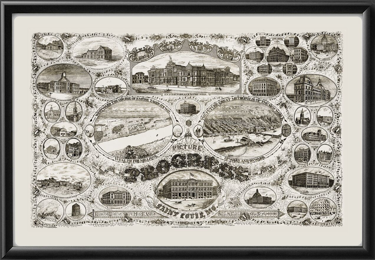 St. Louis MO 1884 Birds Eye View Map