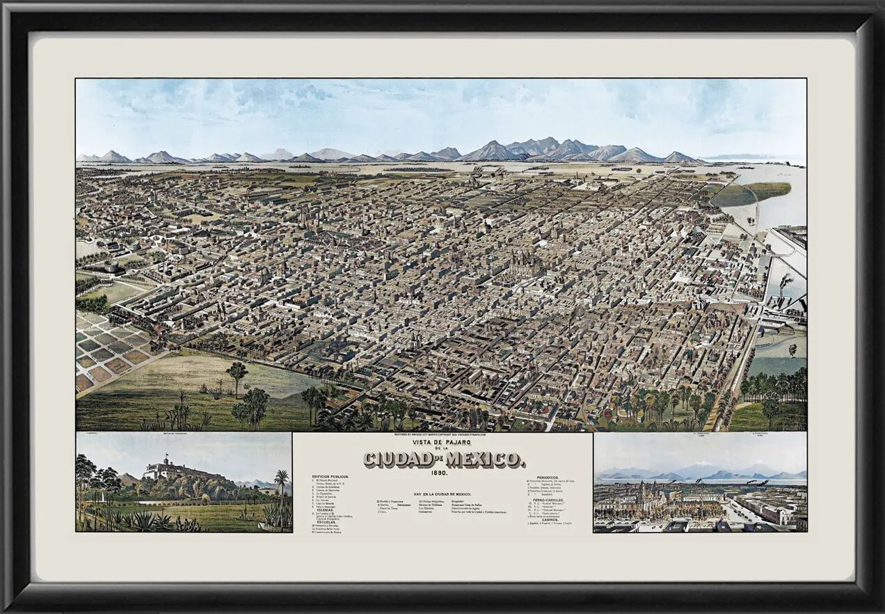 Mexico City 1890 Birds Eye View Map