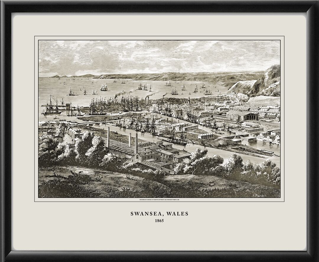 Swansea Wales 1865