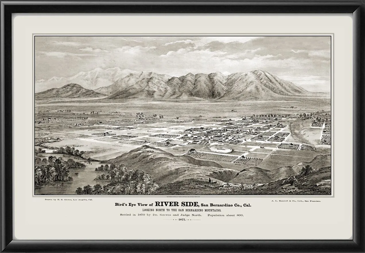 Riverside CA 1877 Birds Eye View Map