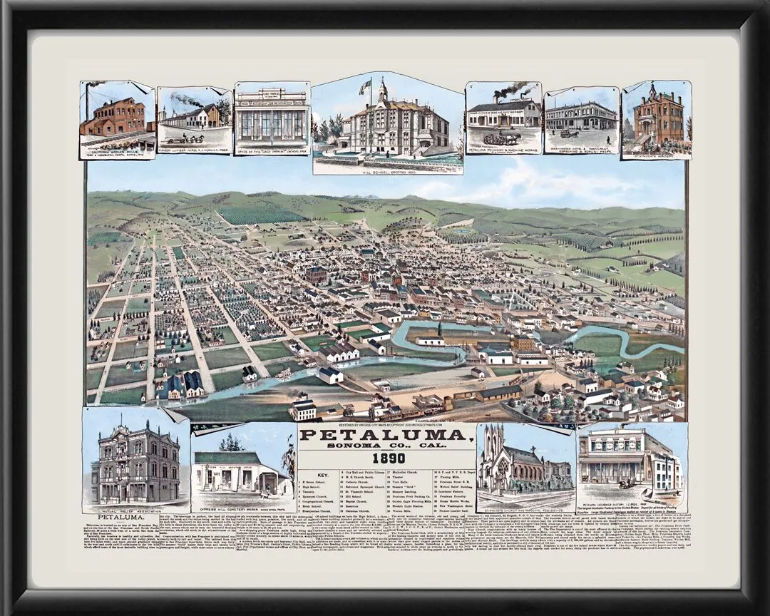Petaluma CA 1890 Elliot pub TM Bird's Eye View Map
