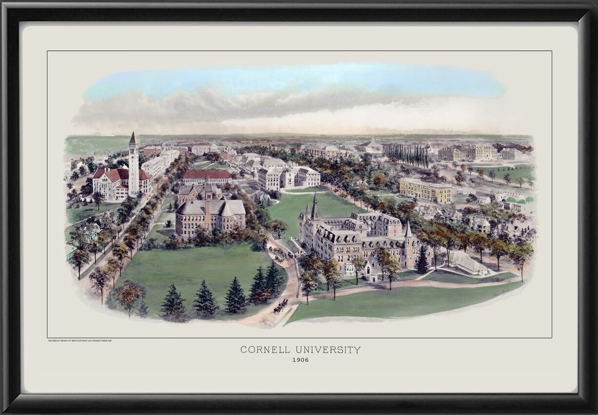 Cornell University - Ithaca NY R Rummell 1906TM Birds Eye View Map