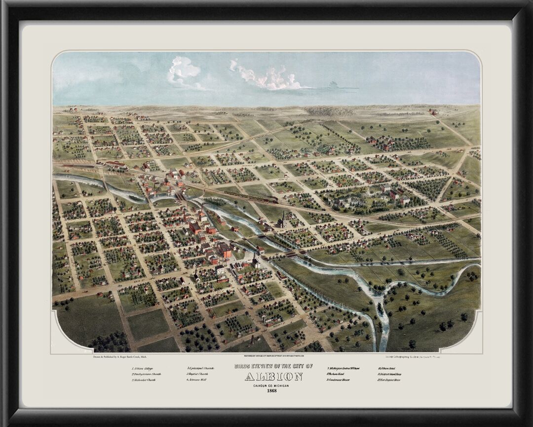 Albion MI 1868 A RugerColorTM