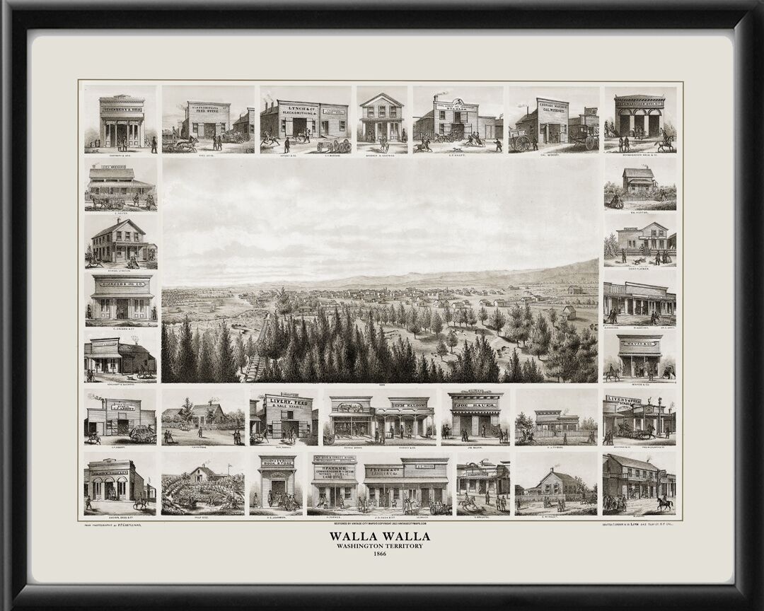 Walla Walla 1866 Grafton T. Brown TM Birds Eye View Map