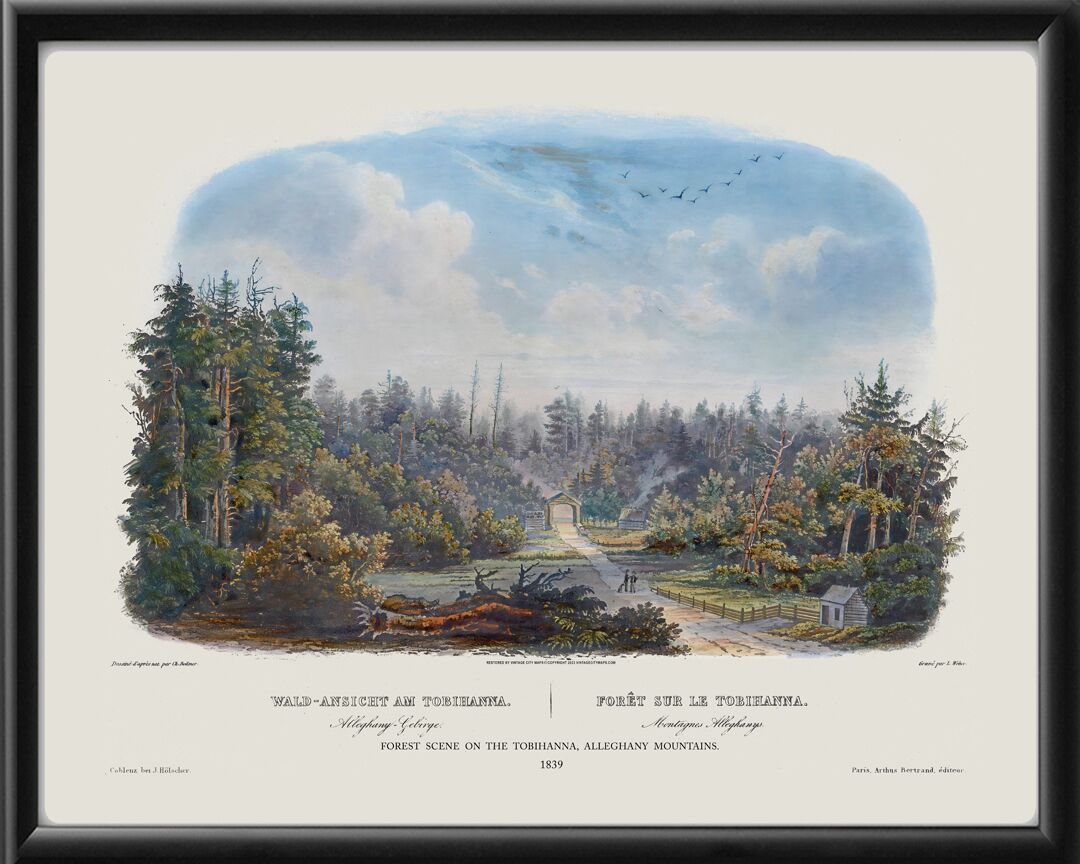 Tobyhanna PA Forest Scene Karl Bodner 1839 tm