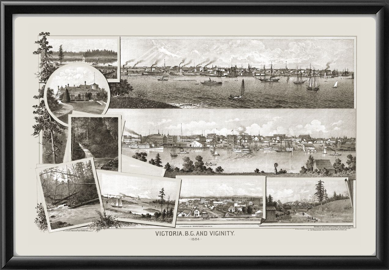Victoria BC 1884 Leo Samuel TM Bird's Eye View Map