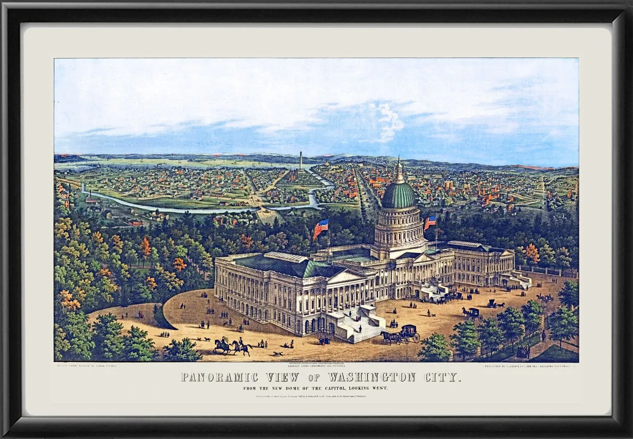 Washington DC 1856 TM Birds Eye View Map