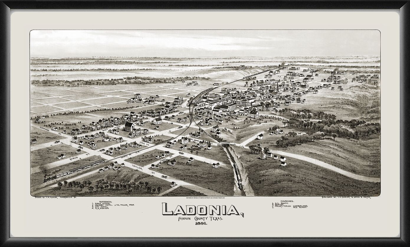 Ladonia, Texas 1891 TM Birds Eye View Map