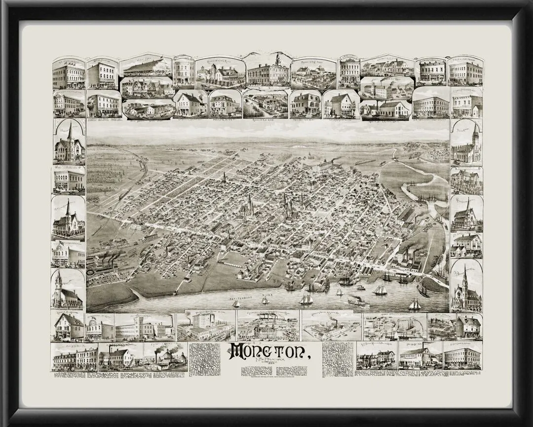 Moncton NB Canada 1888 D.D TM Bird's Eye View Map