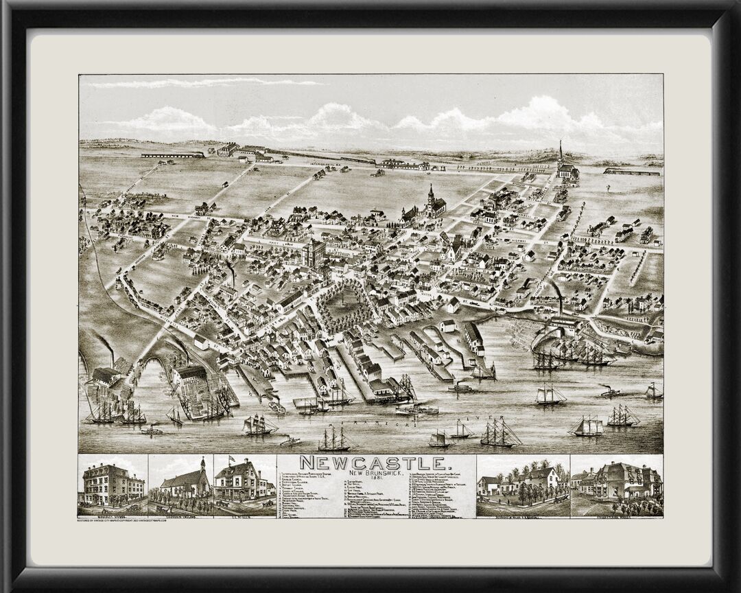 Newcastle New Brunswick Canada 1881 OHBailey TM Bird's Eye View Map