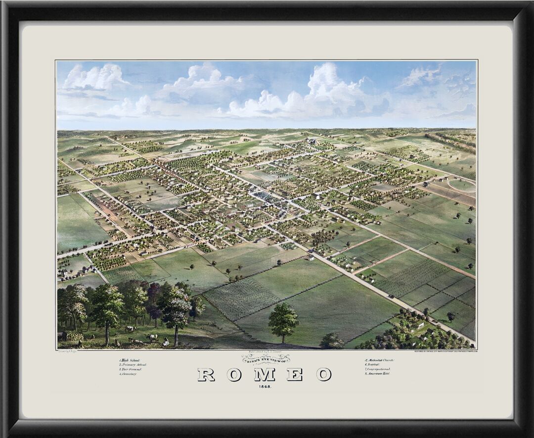 Romeo MI 1868 Bird's Eye View Map