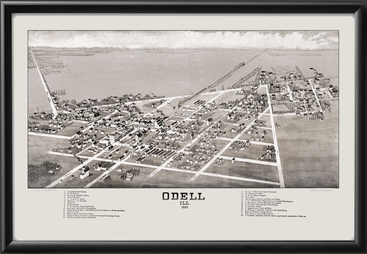Odell IL TM