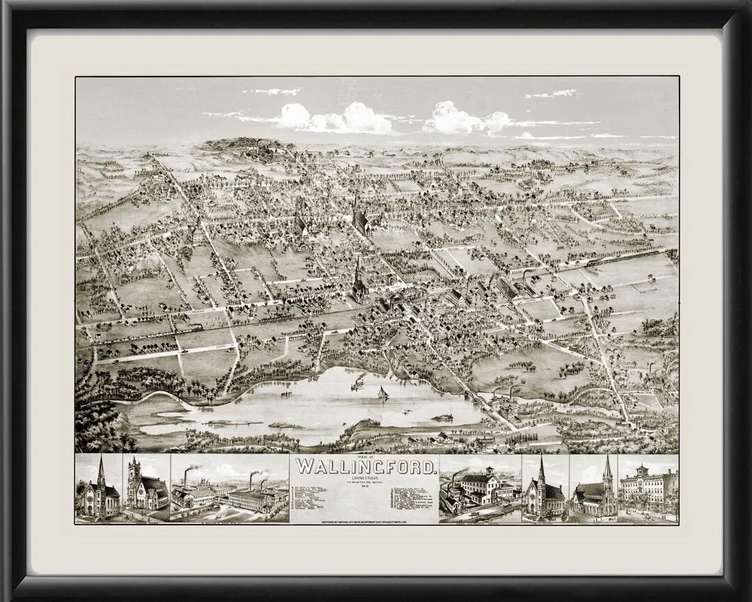 Wallingford CT 1881