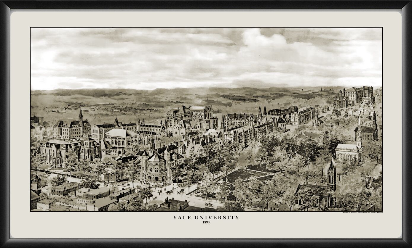 Yale University 1893