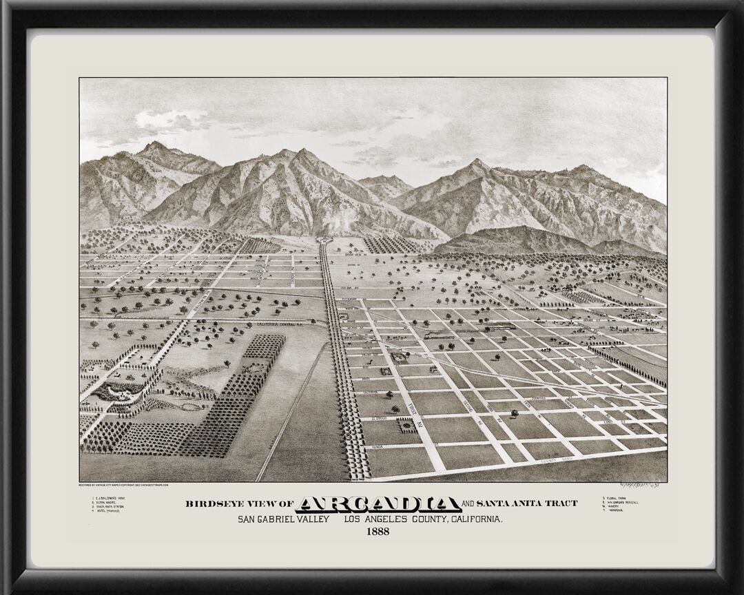 Arcadia CA 1888 TM