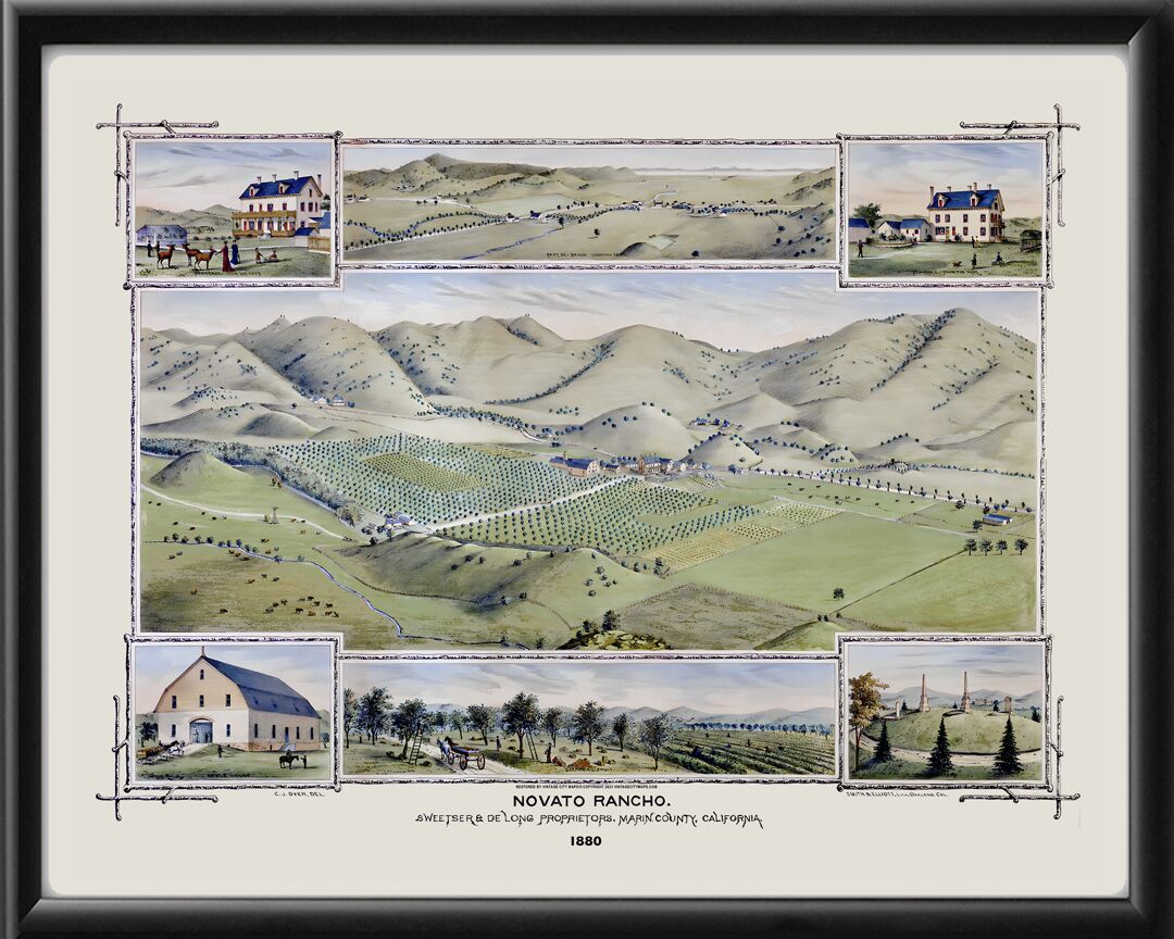 Novato CA 1880 C.J. Dyer Color TM Birds Eye View Map