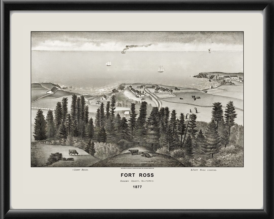 Fort Ross CA 1877 Birds Eye View Map