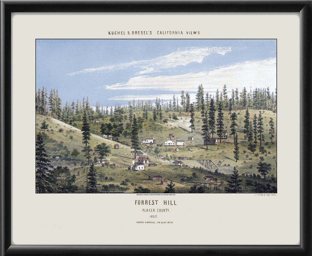 Forrest Hill CA 1857 (Color)