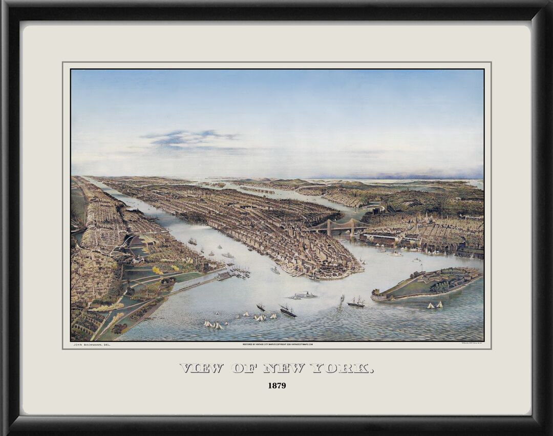 New York City NY 1879 John Bachmann