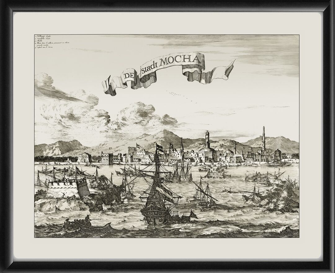 Mocha Yemen 1680 Olfort Dapper