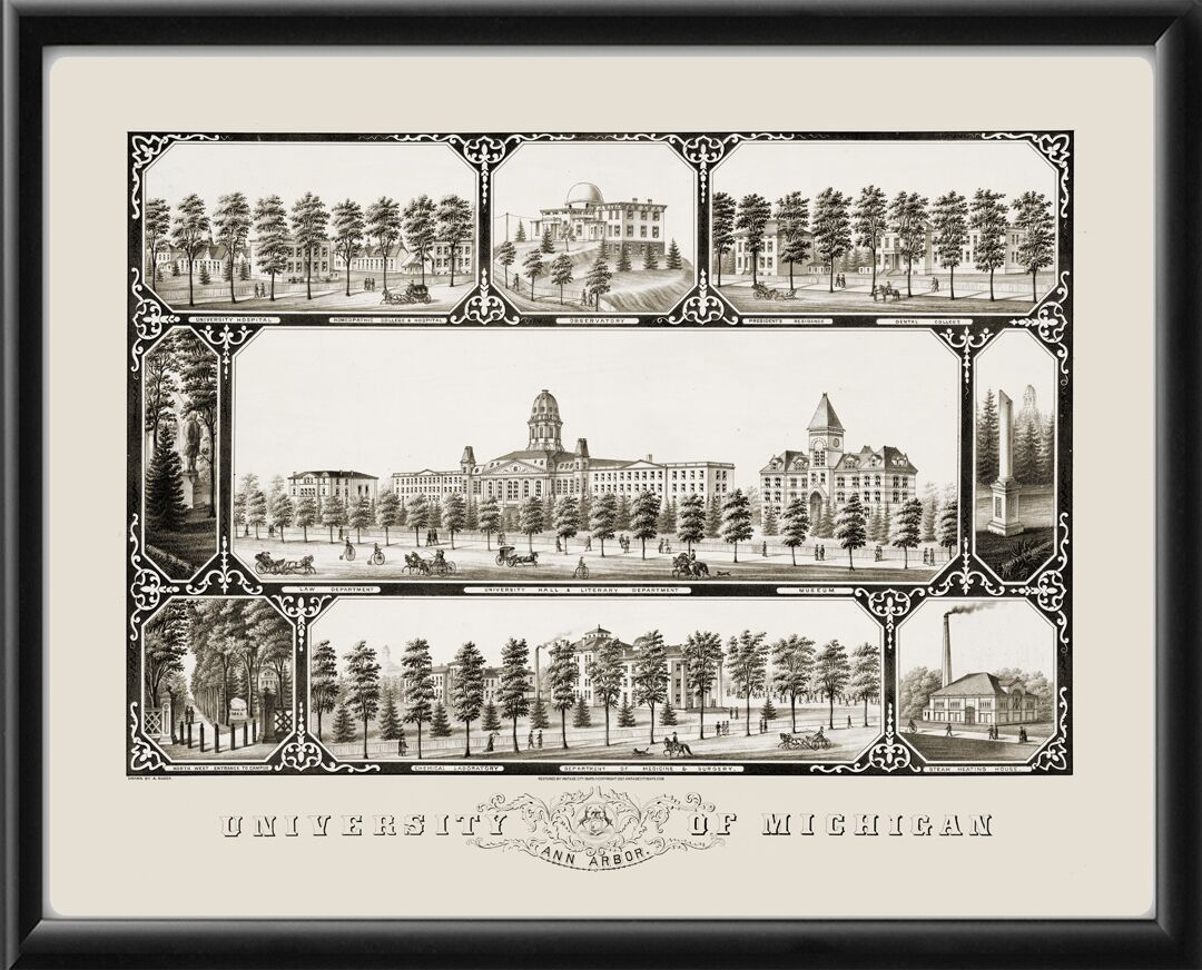 University of Michigan 1881