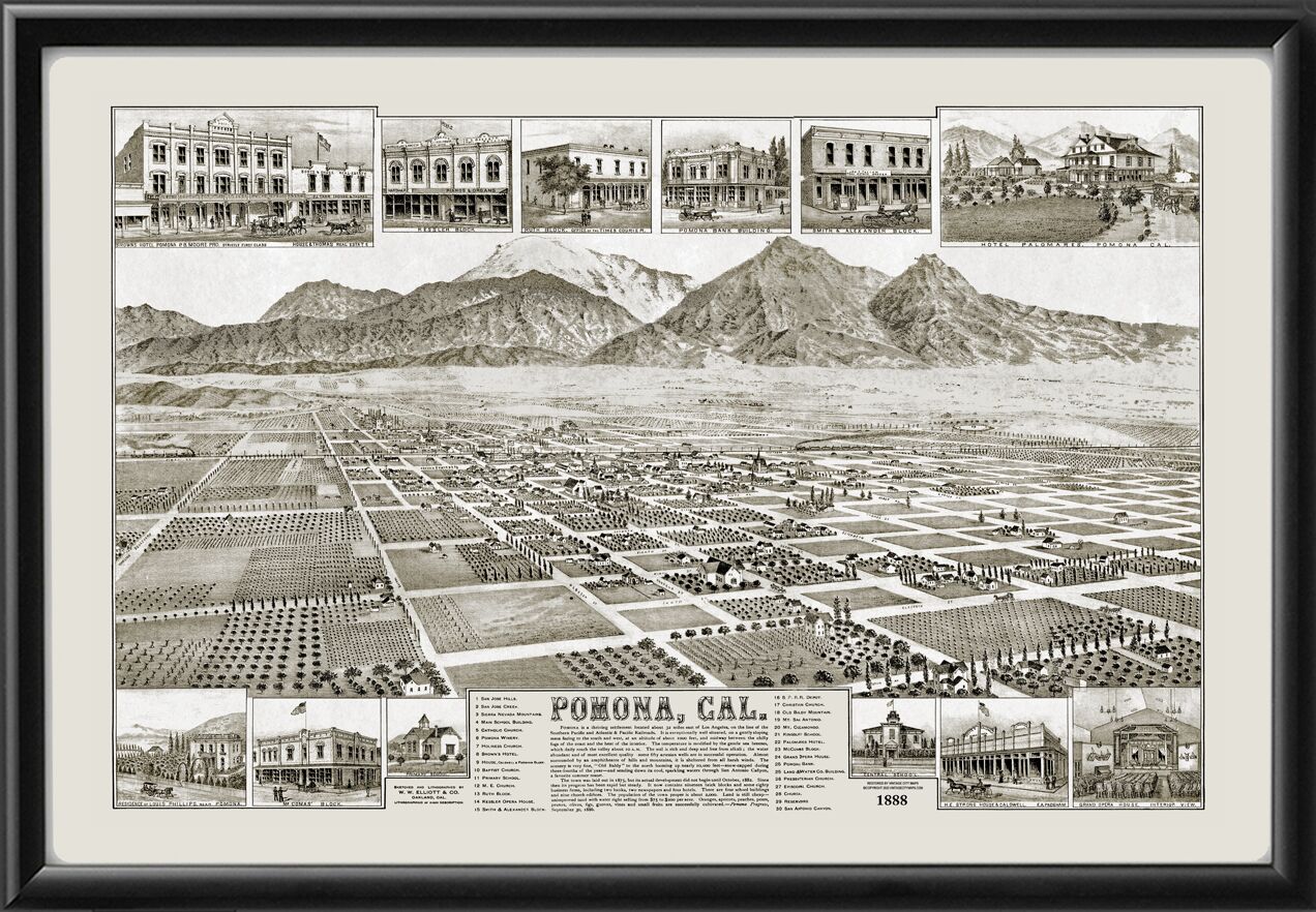 Pomona CA 1886 Birds Eye View Map